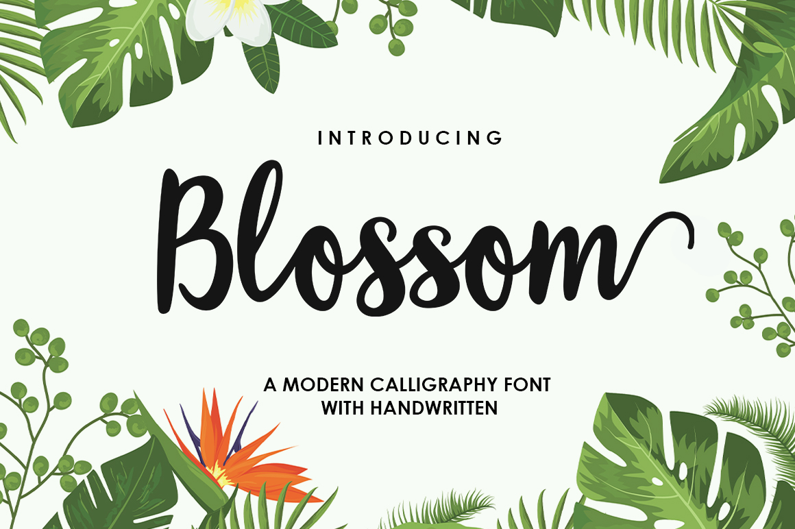 Blossom Script Font: Elevate Your Projects with Elegant Swashes
